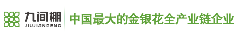 金銀花苗木，金銀花小苗，北花一號金銀花種苗--金銀花種苗廠家平邑縣九間棚農(nóng)業(yè)科技園有限公司