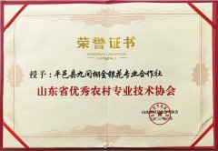 2020年6月，授予平邑縣九間棚金銀花專(zhuān)業(yè)合作社山東省優(yōu)秀農(nóng)村專(zhuān)業(yè)技術(shù)協(xié)會(huì)